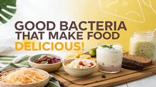 &laquo;Полезные бактерии, которые делают вашу еду вкусной и полезной!&raquo;