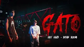 Hey Haad X BRYAN BUENO - Gato (Video Oficial)