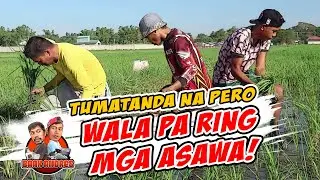 Lumakay Ken Agbubuot Dan Awan Pay Asawa Da