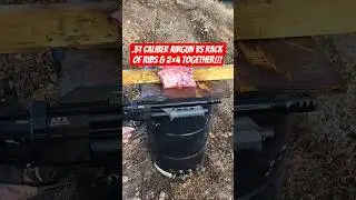 AEA MEGALODON .510 pump-action airgun VS rack of ribs & 2&times;4 together! 310 grain monster slugs!! 💥💥💪