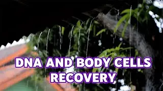 Relaxing Music For DNA And Body Cells Recovery 528 Hz Frequency
