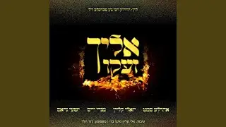 אלייך זעקו