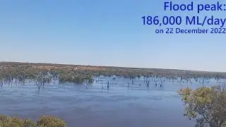 Devlin&rsquo;s Pound wetland during environmental watering and 2022-23 River Murray flood