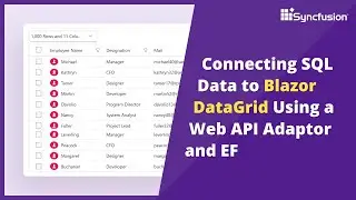 Connecting SQL Data to Blazor DataGrid Using Web API Adaptor and EF