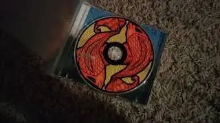 My Incubus CD Collection