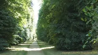 Kingston Lacy House, Blandford road, B3082,  Wimborne, Dorset. England. ( 8 )