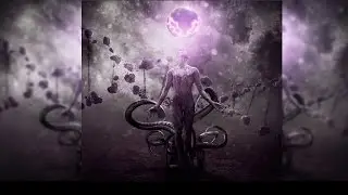 A Sleepless Malice - The Progressive Degradation Lyric Video