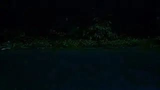 Dark Rain on Window Sounds Cozy Night Rain for Deep Sleep | 12 Hours LIVE