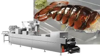 Automatic Seafood meat fish fillet Vacuum Skin Packaging Machine #seafood #fishfillet #vacuumsealer