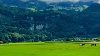 Emerald Heights 🌿 Swiss Alps in Summer Rain | 4K Scenic Relaxation & Nature Sounds