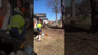 Leaf cleanup mid January.   #landscape #lawncare #yardwork #leafcleanup