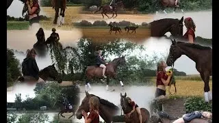 $ Fotoshouting-Follow us arround $
