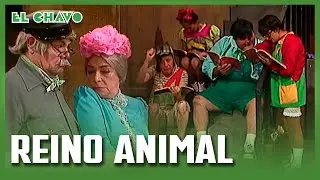 El Chavo del 8: Reino Animal