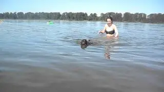Ollie Swimming!