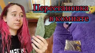 Рум Тур по моей отдельной комнате. Перестановка сразу после приезда. Авокадо сбросил листья