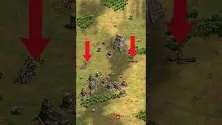 WHAT IS THIS SHOT!! | AoE2