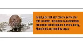 Urgent Pest Control - industrial pest control services - household pest control