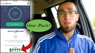 I Did Survey Junkie For One Hour And Made $_______