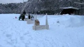 тренировка 03.01.2011