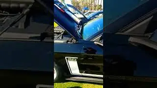 850hp mustang harrop charger #youtubeshorts #shorts