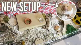 New Hamster Cage Setup! (Time-lapse)