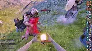 mortal online2  TOFU vs WINX