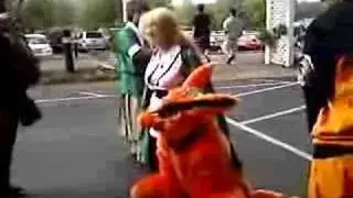 Kyuubi arrives