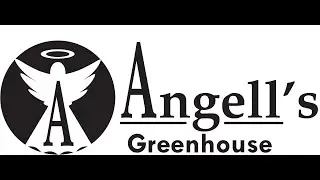 Angell's Greenhouse 2020 Virtual Tour