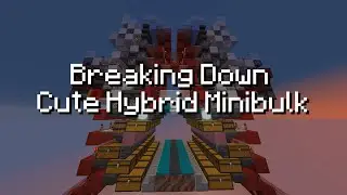Cute Hybrid Minibulk - Breaking Down Storage Tech
