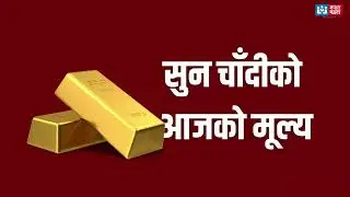 घट्यो सुनको मूल्य! आज प्रतितोला कतिमा हुँदैछ कारोबार? हेर्नुहोस् ताजा सुनचाँदी दरभाउ |
