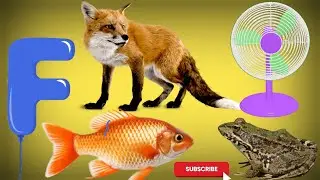 Слова, начинающиеся на букву F | F для рыбы 🐠 | Дошкольное учреждение Popi |
