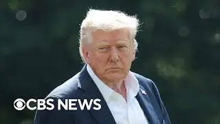 What's next for Trump's birthright citizenship order?