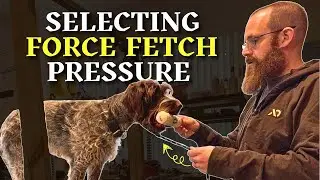 Which TYPE of Force Fetch Pressure is the BEST for YOU?