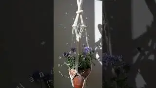 Take this beautiful macrame plant hanger home and let the sunshine dance in your indoor garden