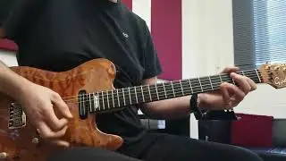 Is the Godin Artisan TC the most underrated guitar in the world?