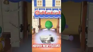 Animal Crossing has a SECRET retro game feature