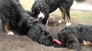 MOV08757