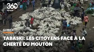 Tabaski à Conakry. Plus de 1,5 million de francs pour un mouton ou la fête au goût amer