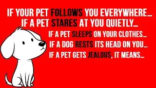 50 Interesting Psychology Facts About Pet Behaviour