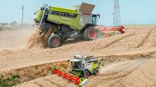 💚Claas Lexion 7600 Montana & Claas Trion 540🤍| Harvest together in italy | Scarpini