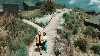 A peaceful stroll surrounded by nature at ARTOTEL Cabin Bromo.
