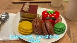 ダロワイヨららぽーと新三郷のケーキバイキング2026年1月