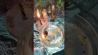 🌲 Ритуал Чистка 🌲Ментала от МОРОКОВ и ОМОРОЧКИ ‼️
