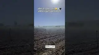 #blackgold #afimclips #afimkisan #afimkissan #afim #amal #viral #amaldar#farming #farmer #farmlife