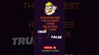 The Ultimate Fun Trivia Challenge ..That&rsquo;ll Blow Your Mind!#triviachallenge #trivia#triviaquiz#quiz