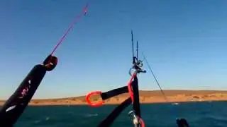 VARI CONDOR ONE 2012 9M