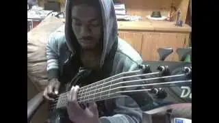 wiggle vine