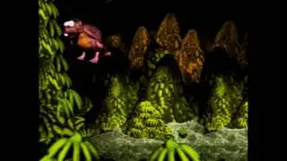 DKC: Optimal W4 Boss