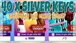 40 x SILVER KEYS 🌟 KOSTENLOS 🐴 STAR EQUESTRIAN