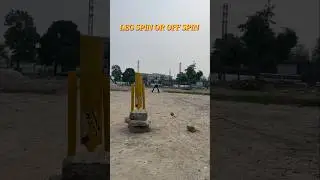 Leg spin or Off spin #shorts #cricket #bowling